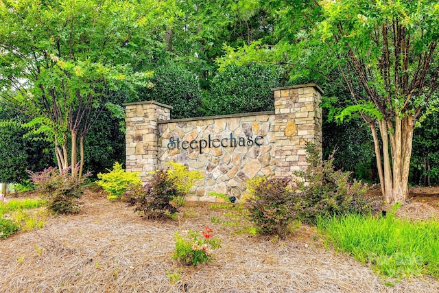 1887 Steeplechase Dr, Rock Hill, SC 29732 - photo 35