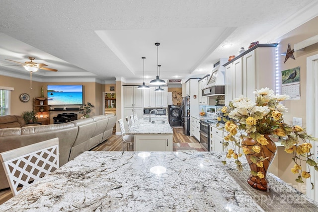381 US-70 Hwy, Black Mountain, NC 28711 - kitchen with a raised ceiling, open floor plan, appliances with stainless steel finishes, light wood-style flooring, and ornamental molding
