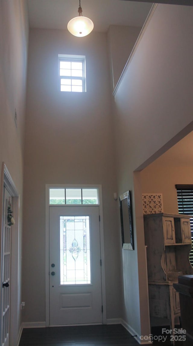 858 Oak Manor Dr SE, Concord, NC 28025 - foyer with a high ceiling and dark wood finished floors