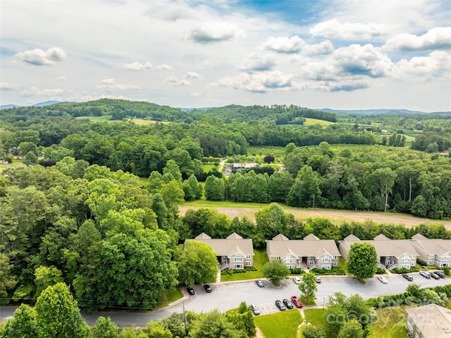 91 Morningside Ln, Hendersonville, NC 28792 - aerial perspective of suburban area featuring a heavily wooded area