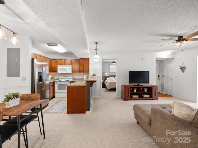 91 Morningside Ln, Hendersonville, NC 28792 - living room with electric panel, a textured ceiling, a ceiling fan, and light colored carpet