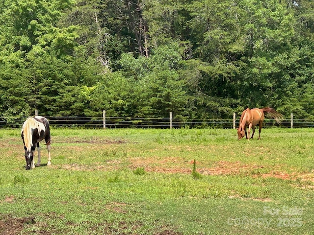 847 Crowe Dairy Rd, Forest City, NC 28043 - photo 5