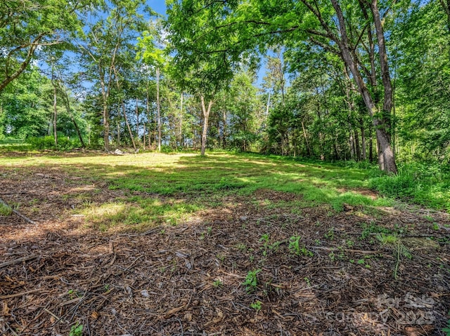 847 Crowe Dairy Rd, Forest City, NC 28043 - photo 30