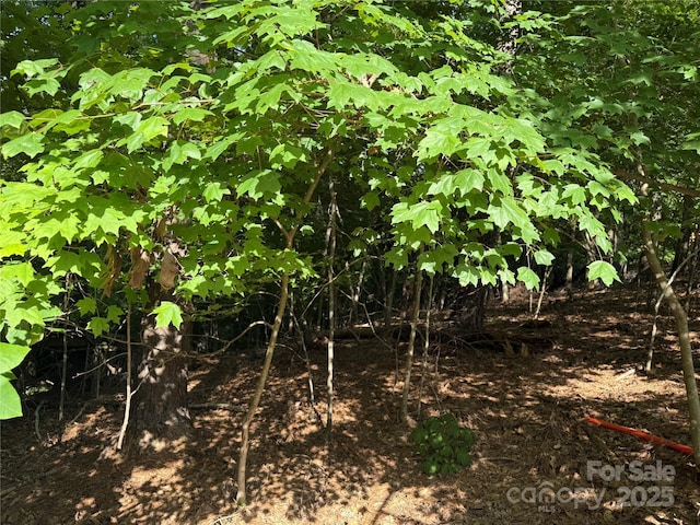 10045 Tepa Pl, Tega Cay, SC 29708