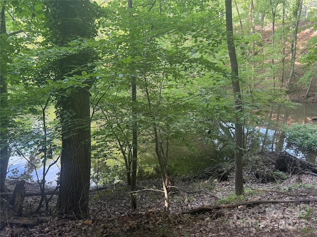 10045 Tepa Pl, Tega Cay, SC 29708