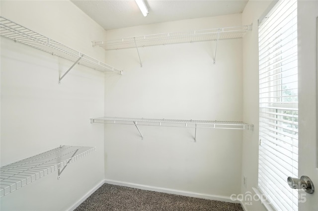7442 Sparkleberry Dr, Indian Trail, NC 28079 - photo 14