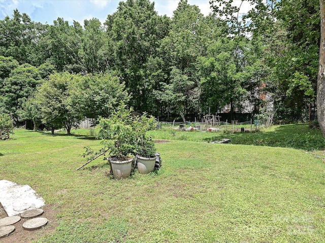 12423 Softwood Ct, Charlotte, NC 28273 - photo 19