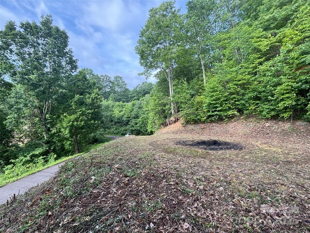 00LOT11 Valley View Dr, Maggie Valley, NC 28751