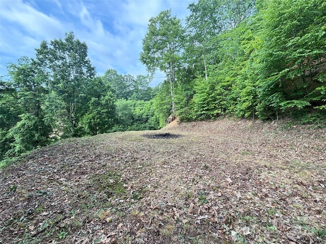 00LOT11 Valley View Dr, Maggie Valley, NC 28751