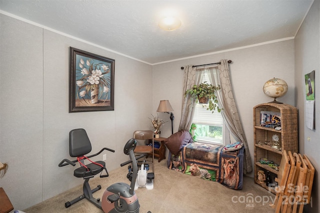251 Birch Tree Rd, Clover, SC 29710 - exercise area featuring carpet and crown molding