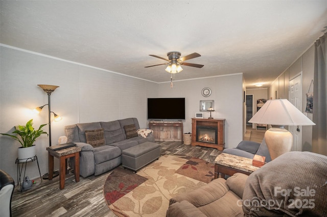 251 Birch Tree Rd, Clover, SC 29710 - living room with wood finished floors, a ceiling fan, and ornamental molding