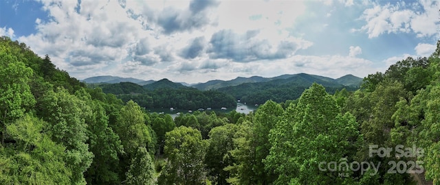 91 Keys Rd, Almond, NC 28702 - photo 11