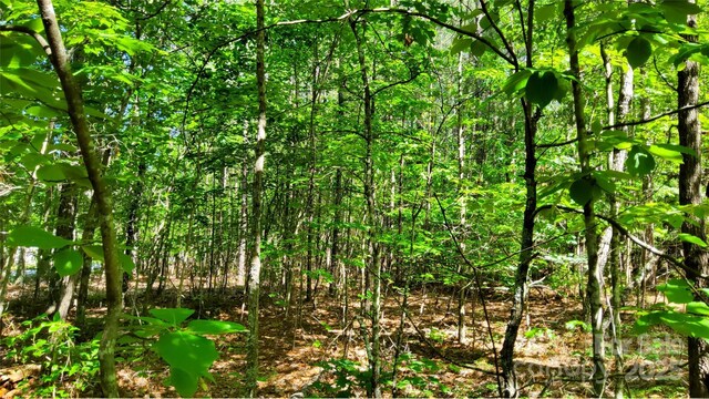 0000 Loblolly Ln Unit 24/23/22, Mill Spring, NC 28756