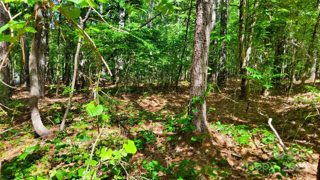 0000 Loblolly Ln Unit 24/23/22, Mill Spring, NC 28756
