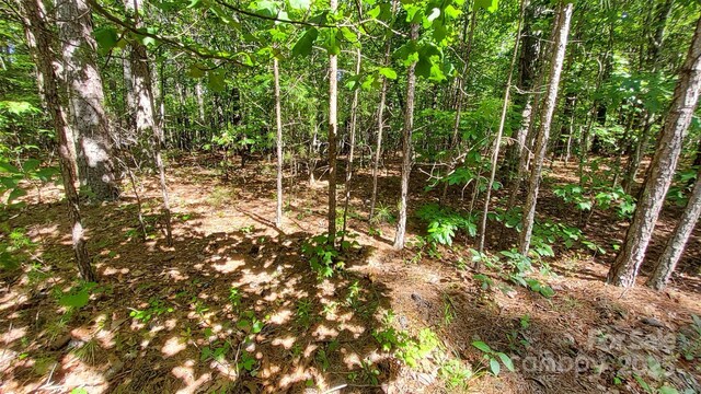 0000 Loblolly Ln Unit 24/23/22, Mill Spring, NC 28756
