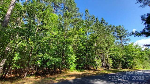 0000 Loblolly Ln Unit 24/23/22, Mill Spring, NC 28756