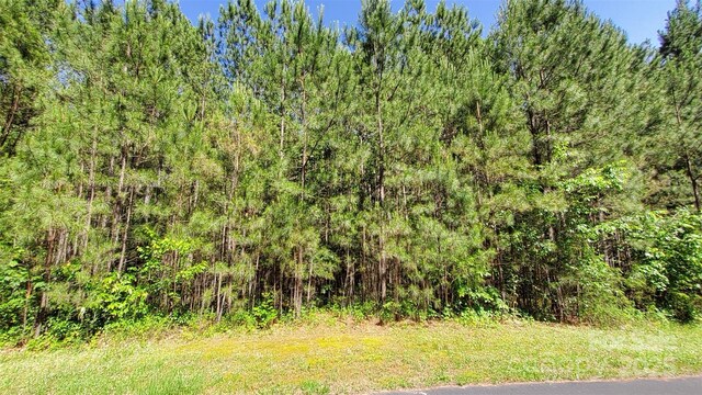 0000 Loblolly Ln Unit 24/23/22, Mill Spring, NC 28756