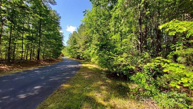 0000 Loblolly Ln Unit 24/23/22, Mill Spring, NC 28756
