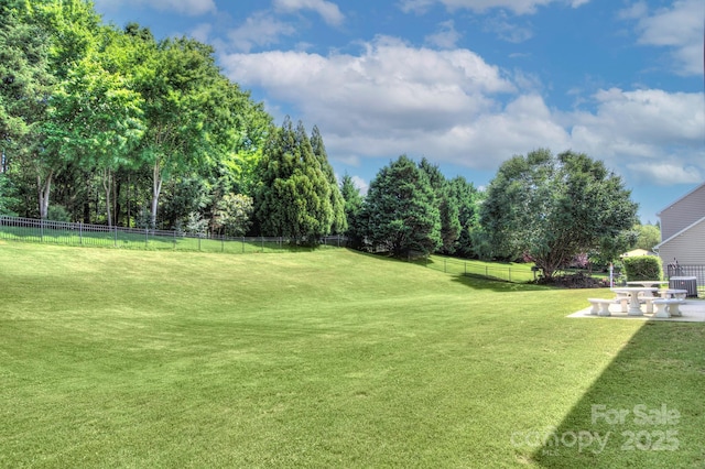 604 Palmerston Ln, Waxhaw, NC 28173 - view of yard with a patio and view of scattered trees