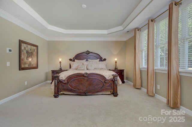 604 Palmerston Ln, Waxhaw, NC 28173 - bedroom with a raised ceiling, light carpet, and crown molding