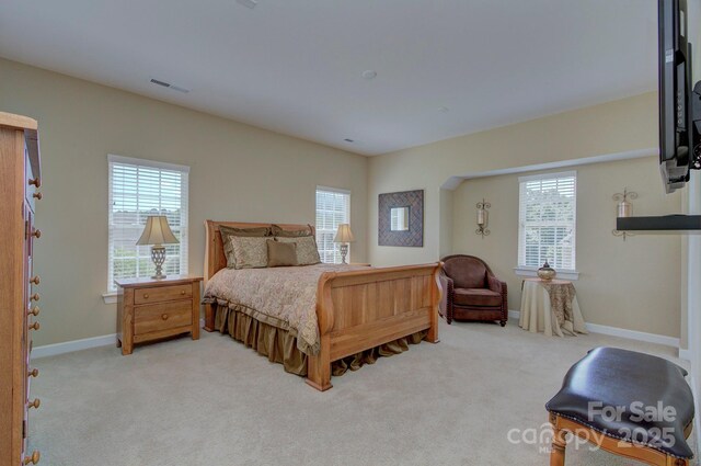 604 Palmerston Ln, Waxhaw, NC 28173 - bedroom featuring multiple windows and light carpet