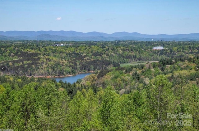 4933 NC Highway 268 W, Wilkesboro, NC 28697 - view of mountain backdrop featuring a heavily wooded area and a nearby body of water