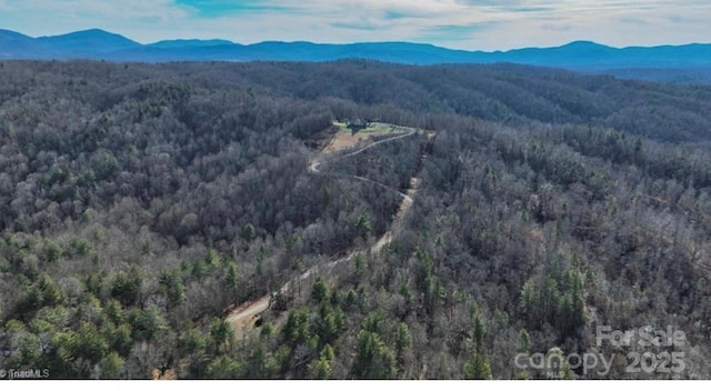 4933 NC Highway 268 W, Wilkesboro, NC 28697 - view of mountain background with a forest