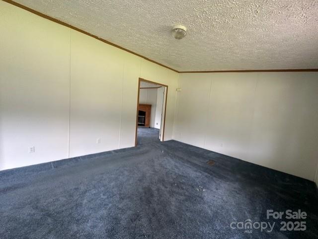 5587 Doe Ct, Morganton, NC 28655 - unfurnished room with crown molding, carpet, and a textured ceiling
