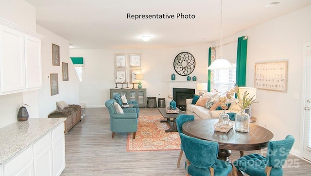 145 Apple Orchard Ct, Statesville, NC 28677 - living room featuring light wood finished floors and a fireplace