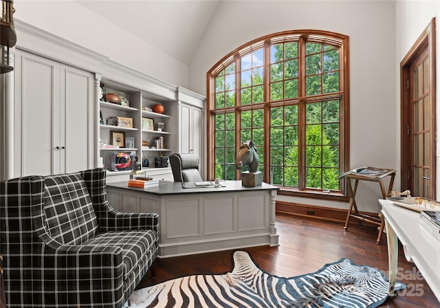 8500 Longview Club Dr, Waxhaw, NC 28173 - office featuring lofted ceiling and dark wood finished floors