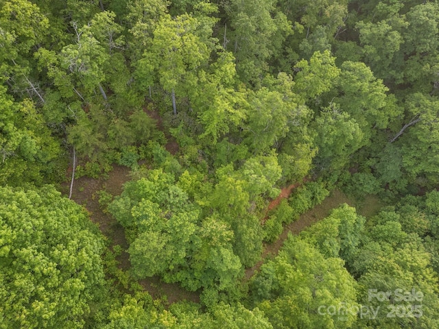 10 Turkey Trot Trl, Sylva, NC 28779 - aerial view of a forest