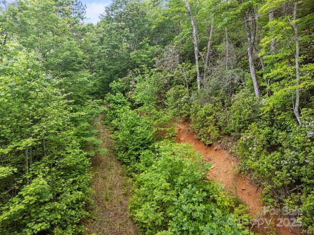 10 Turkey Trot Trl, Sylva, NC 28779 - view of woods