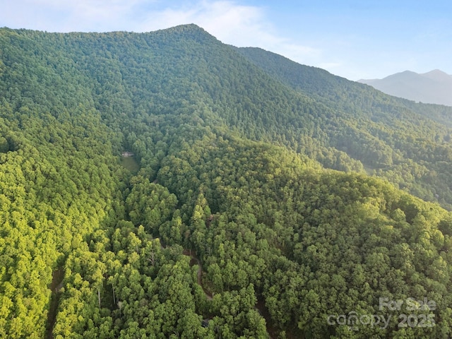 10 Turkey Trot Trl, Sylva, NC 28779 - view of mountain backdrop with a heavily wooded area