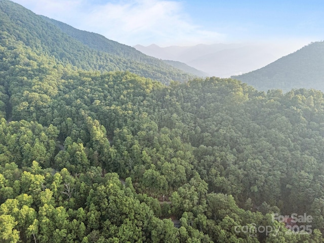10 Turkey Trot Trl, Sylva, NC 28779 - mountain view with a forest