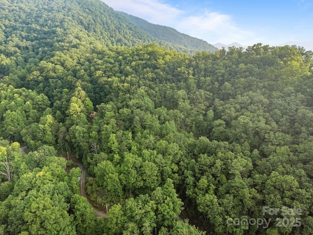 10 Turkey Trot Trl, Sylva, NC 28779 - view of mountain background featuring a heavily wooded area