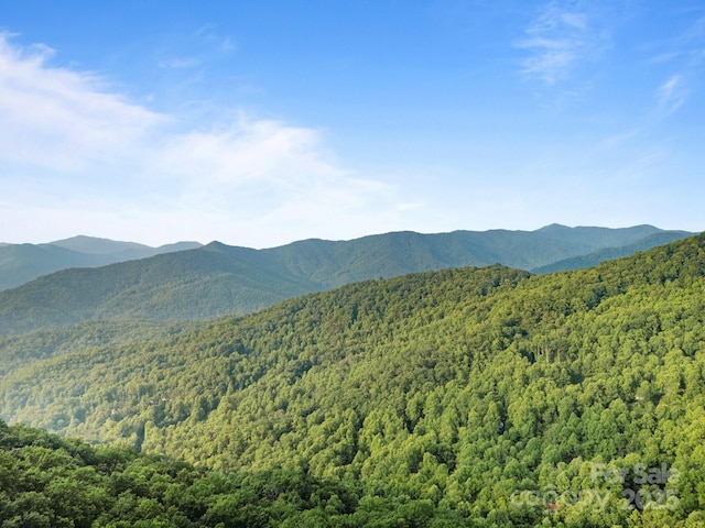 10 Turkey Trot Trl, Sylva, NC 28779 - view of mountain background featuring a forest