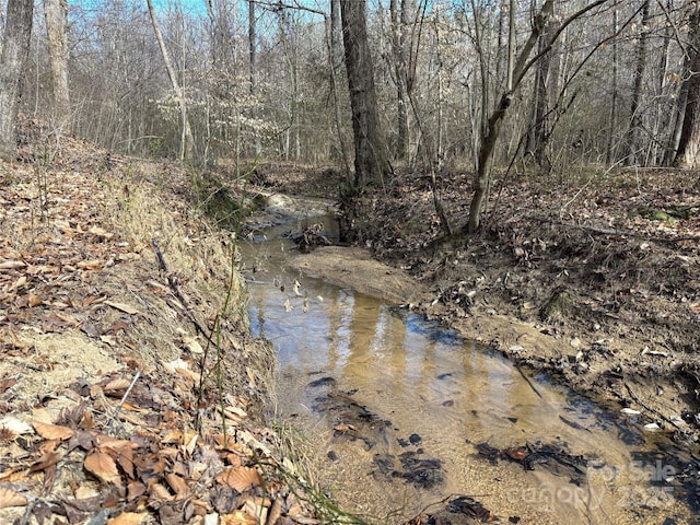 1285 Waitman Rd, Lexington, NC 27295 - water view