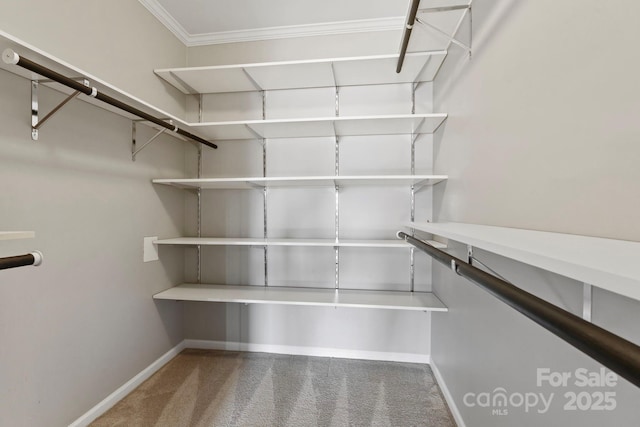 1285 Waitman Rd, Lexington, NC 27295 - walk in closet with carpet