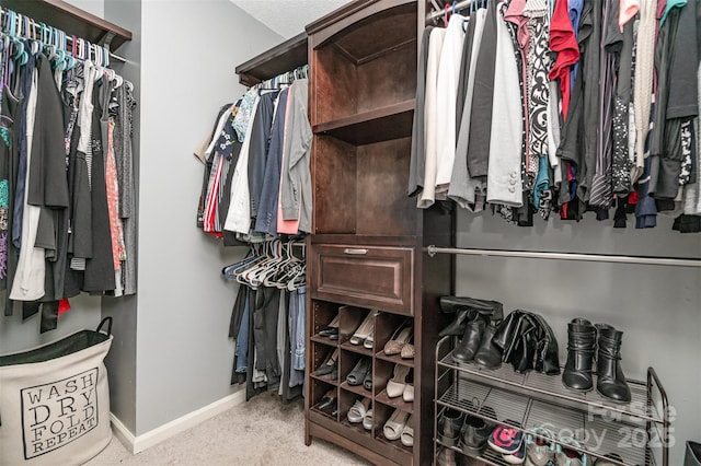 108 Shade Tree Cir, Fort Mill, SC 29715 - view of spacious closet