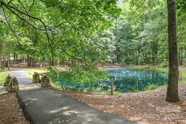 108 Shade Tree Cir, Fort Mill, SC 29715 - view of property's community featuring a wooded view