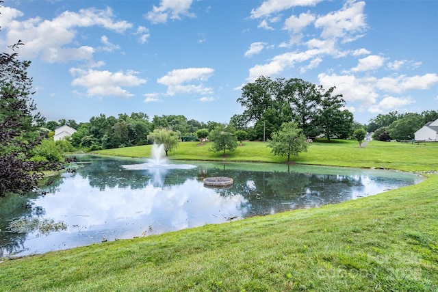 108 Shade Tree Cir, Fort Mill, SC 29715 - water view