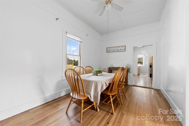 1008 Valley St, Kannapolis, NC 28081 - dining area featuring plenty of natural light, light wood-type flooring, and ceiling fan