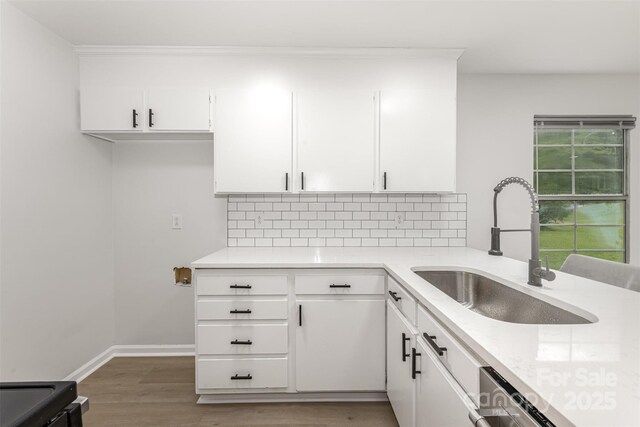 3941 Briarhill Dr, Charlotte, NC 28215 - kitchen with a sink, decorative backsplash, light wood-style flooring, and white cabinetry
