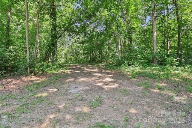848 Ike Lynch Rd, Dallas, NC 28034 - view of tree filled area
