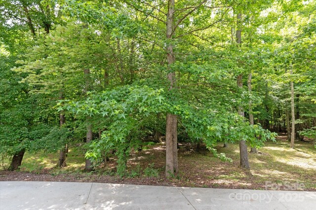 441 Vermilion Dr, York, SC 29745 - photo 34