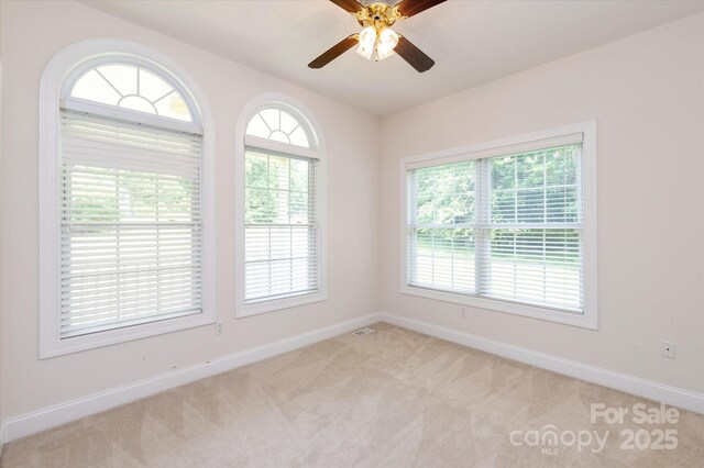 441 Vermilion Dr, York, SC 29745 - photo 38