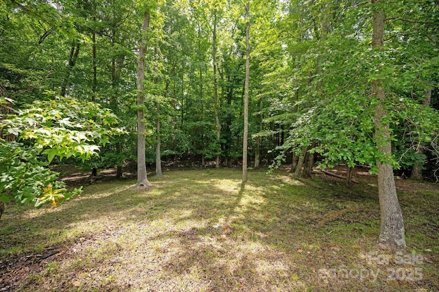 441 Vermilion Dr, York, SC 29745 - photo 48