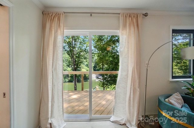 10043 Tepa Pl, Tega Cay, SC 29708 - doorway featuring plenty of natural light and ornamental molding