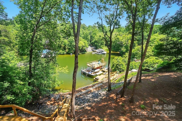10043 Tepa Pl, Tega Cay, SC 29708 - water view with a dock
