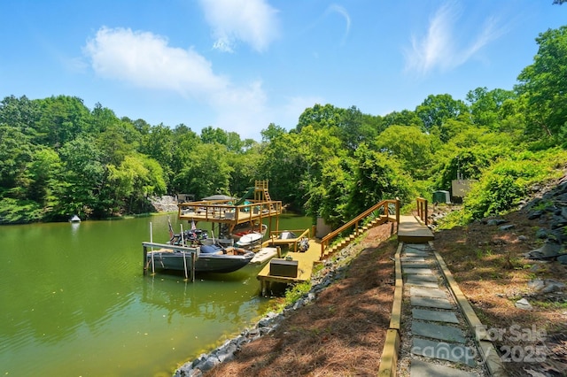 10043 Tepa Pl, Tega Cay, SC 29708 - dock with a water view and a view of trees